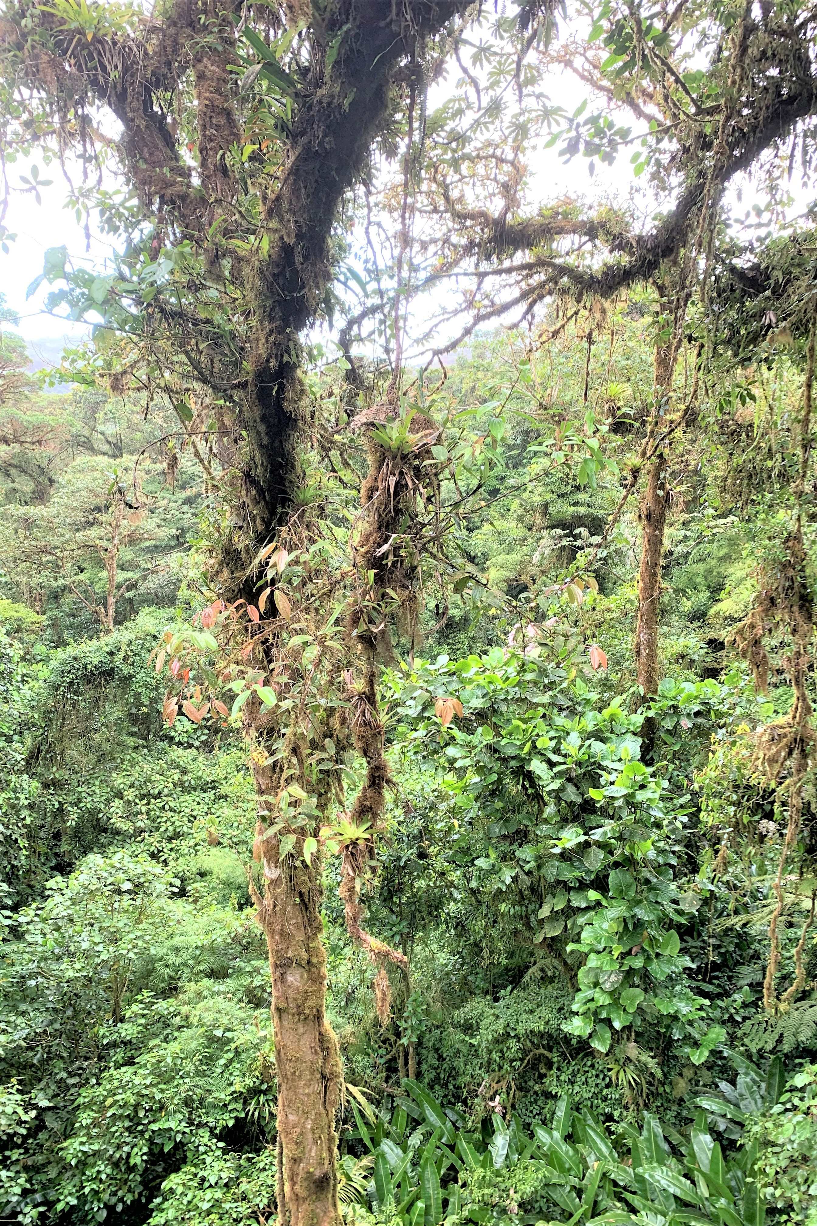 Costa Rica